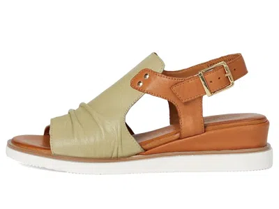 Spring Step Locals In Green