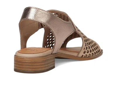 Spring Step Gosset In Gray