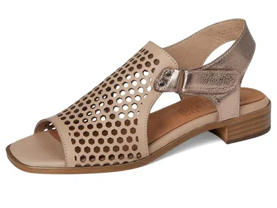 Spring Step Gosset In Gray