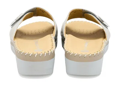 Eric Michael Agua In Brown