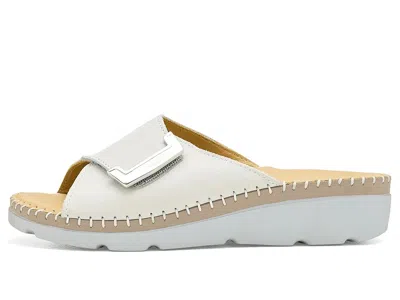 Eric Michael Agua In Brown