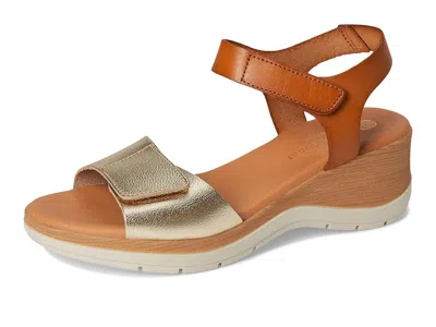 Eric Michael Caroline In Multi