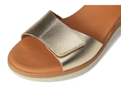 Eric Michael Caroline In Multi