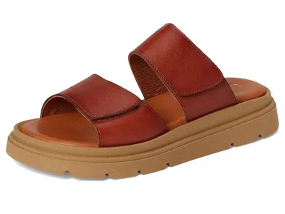 Eric Michael Aria In Brown