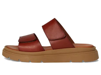 Eric Michael Aria In Brown