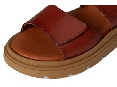 Eric Michael Aria In Brown