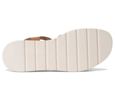 Eric Michael Kinsley In Brown