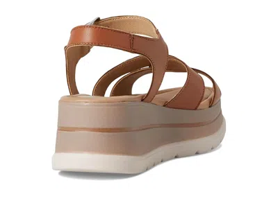 Eric Michael Kinsley In Brown