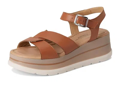 Eric Michael Kinsley In Brown