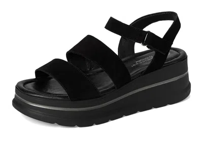 Eric Michael Willow In Black