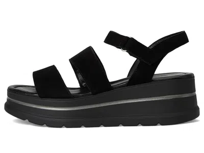 Eric Michael Willow In Black