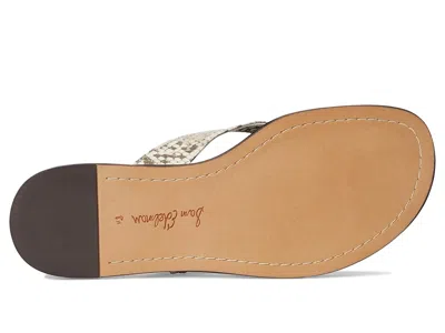 Sam Edelman Remi Sandal In Multi