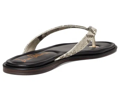 Sam Edelman Remi Sandal In Multi