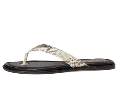 Sam Edelman Remi Sandal In Multi