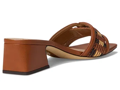 Sam Edelman Waylon Slide Sandal In Brown
