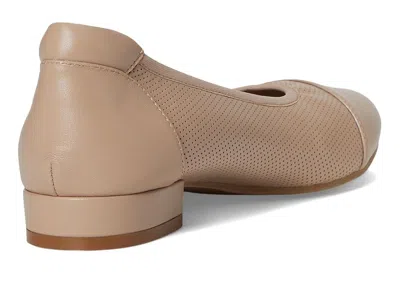 David Tate Newton In Neutral