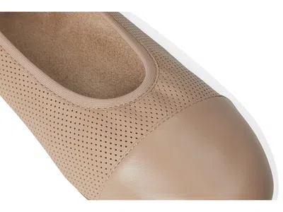 David Tate Newton In Neutral