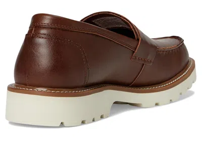Deer Stags Infinity In Brown