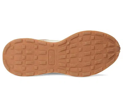 Deer Stags Gravity In Brown