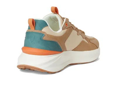 Deer Stags Gravity In Brown