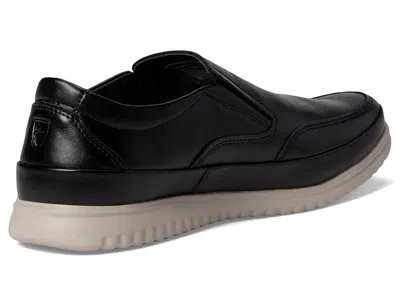 Deer Stags Bayport In Multi