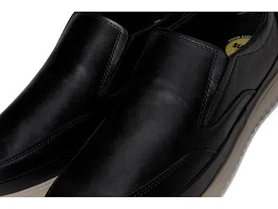 Deer Stags Bayport In Multi