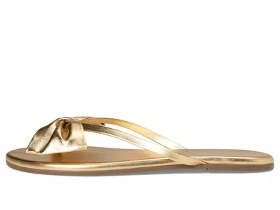 Tkees Lily Oversized Bow