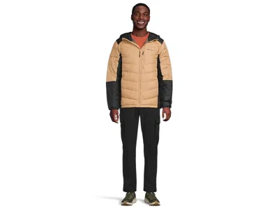 Columbia Labyrinth Looptm Ii Hooded Jacket In Neutral
