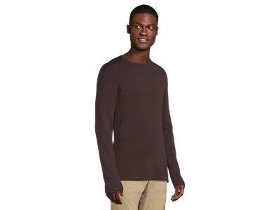 Smartwool Merino 250 Base Layer Crew In Brown