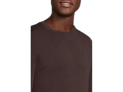 Smartwool Merino 250 Base Layer Crew In Brown