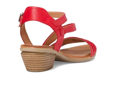 Miz Mooz Kailee In Multi