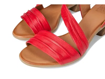 Miz Mooz Kailee In Multi