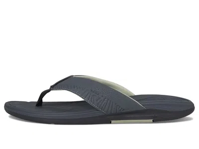 Reef Offshore Flip Flop In Blue