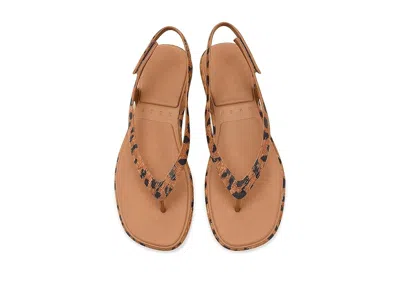 Reef Water Willow Maya In Brown