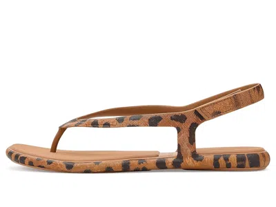 Reef Water Willow Maya In Brown