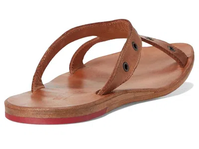 Bed Stu Path In Brown