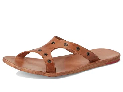 Bed Stu Path In Brown