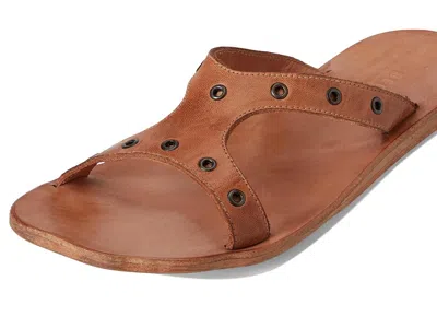 Bed Stu Path In Brown