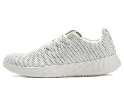 Allbirds Tree Runner Nz Sneakers In White