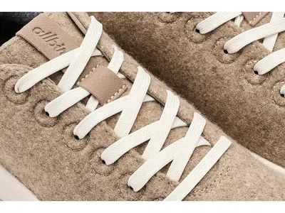 Allbirds Wool Cruiser In Multi