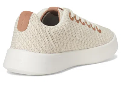 Allbirds Cruiser