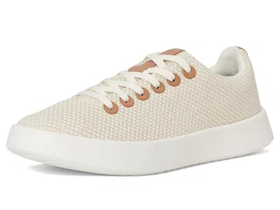 Allbirds Cruiser