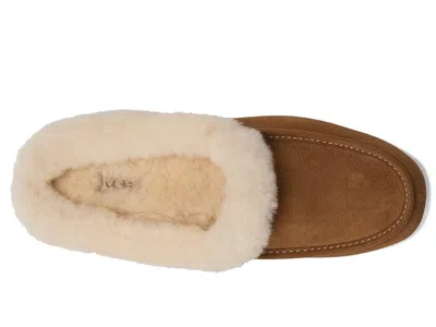 Ugg Ansley Mule Slippers Chestnut In Multi