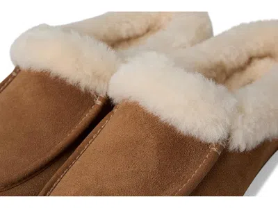 Ugg Ansley Mule Slippers Chestnut In Multi
