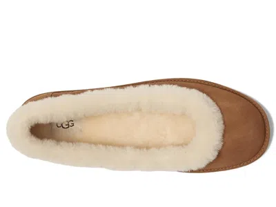 Ugg Zora Ballet Flat Woman Chestnut In Brown