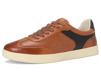 Florsheim Pace T-toe Lace Up Sneakers In Brown