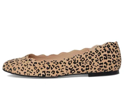 French Sole Jigsaw In Brown