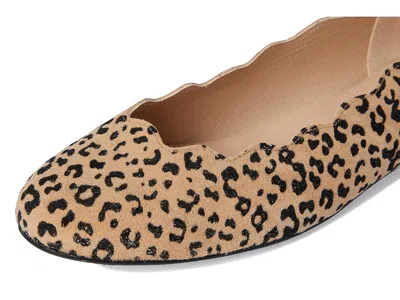 French Sole Jigsaw In Brown