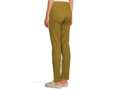 Toad And Co Earthworks Pant In Green