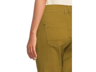 Toad And Co Earthworks Pant In Green